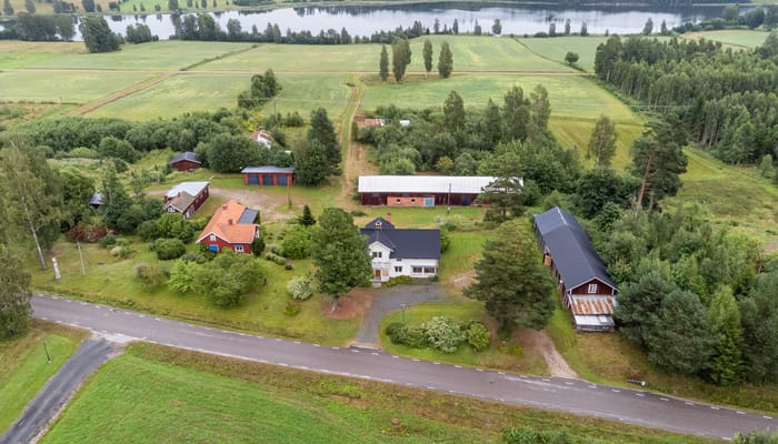 Porno ogli onamni kaltaklaydi, u uni maqtaydi