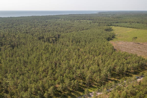 Östergarn Vassmunds 667D