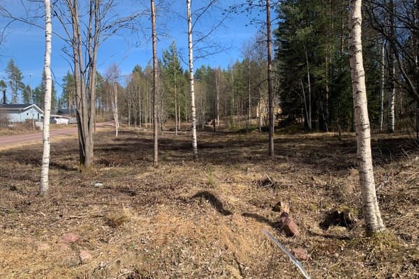 Tomt – Älvdalen, Älvdalen