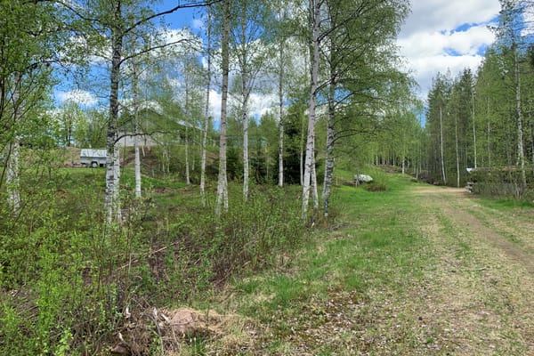 Tomt – Älvdalen, Älvdalen