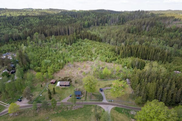 Bunn Lappland 3 & 6