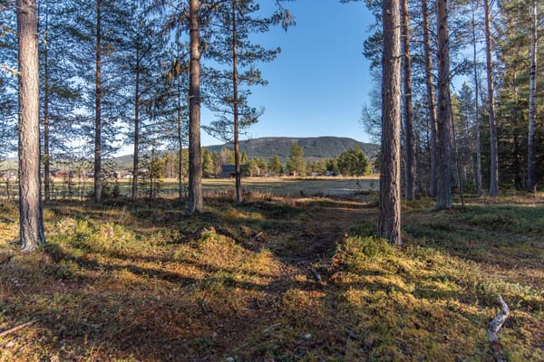 Två tomter på Österlånggatan