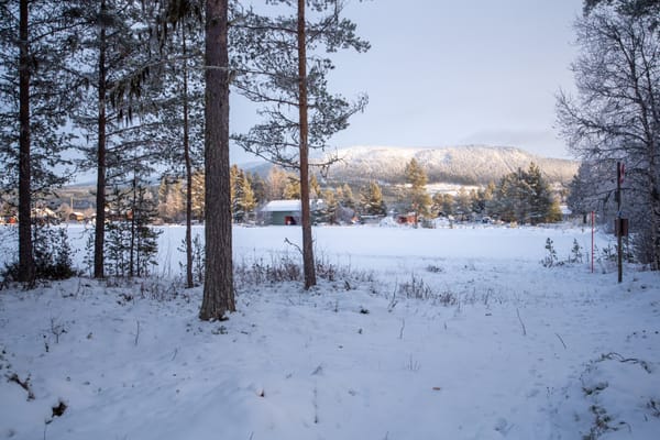 Två tomter på Österlånggatan