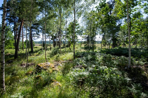 Kärrbo Klockargård