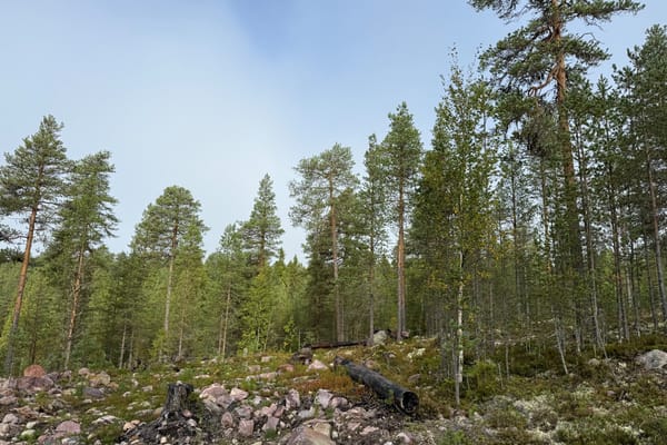 Tomt Blåbärsstigen 21