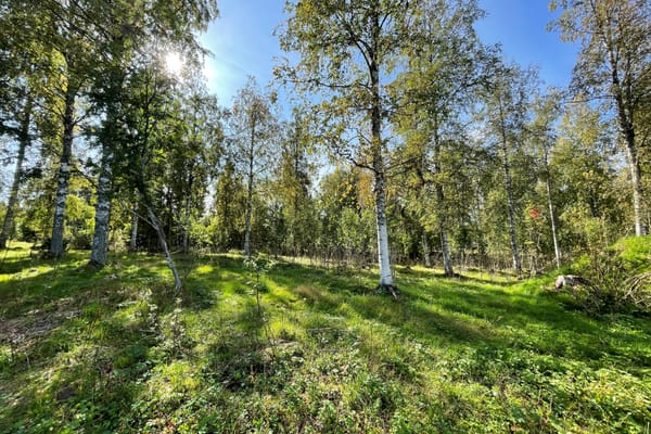 Tomt – Älvdalen, Älvdalen