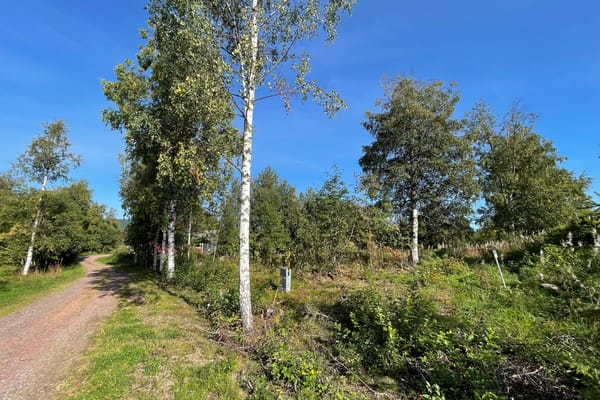 Tomt – Älvdalen, Älvdalen