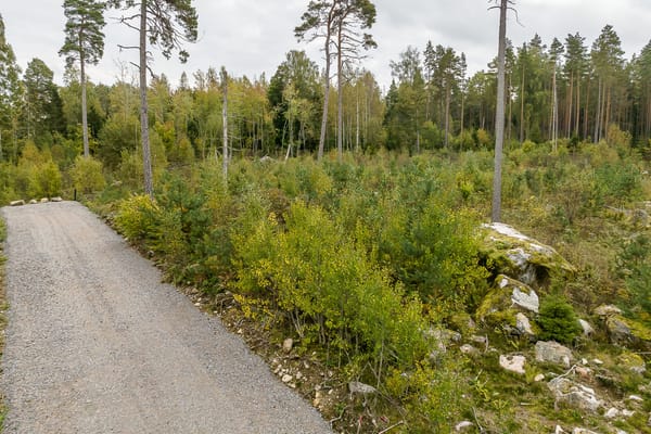 Lena-Ekeby 1:16