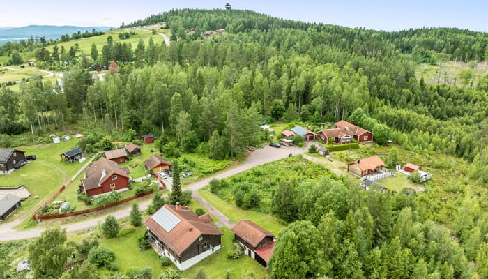 Tottgärdsgattu
