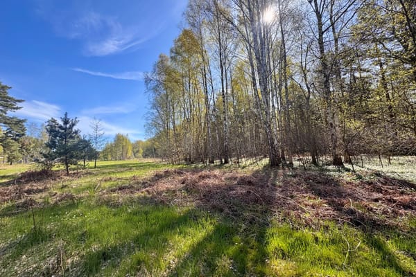 Fårö Stora Gasmora 1:25