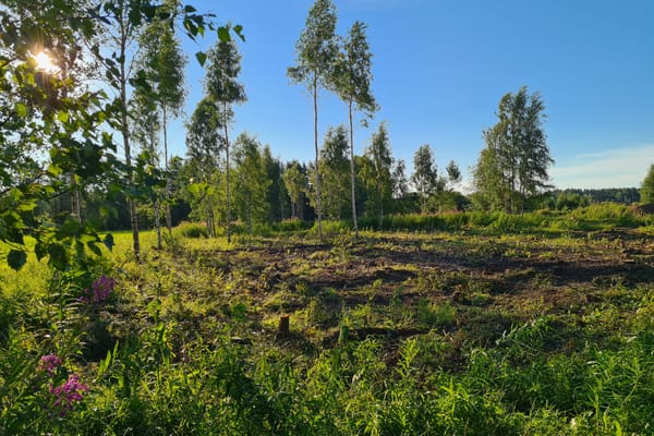 Stöcksjö Lindgärdesväg 10