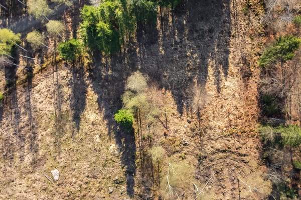 Tomt – Örkelljunga, Örkelljunga