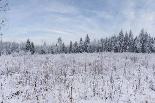 Tomt – Äspered, Borås