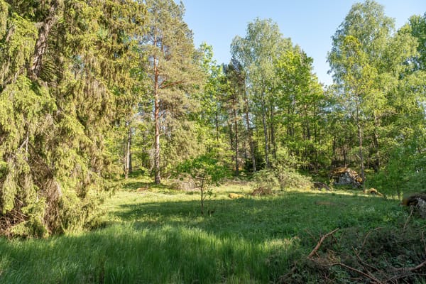 Tomt Grävsätter 1:4