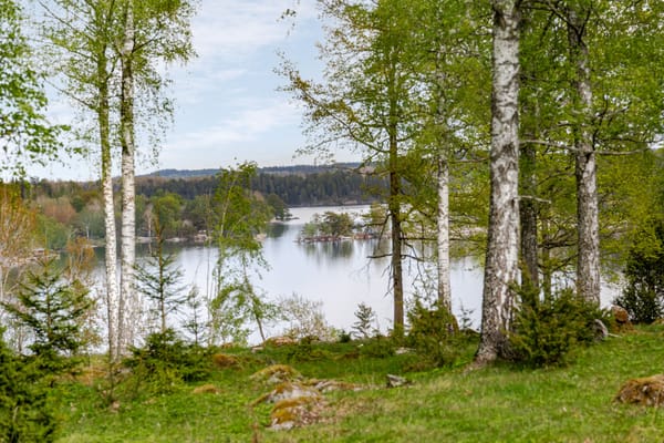 Krogsfall Ängslyckan