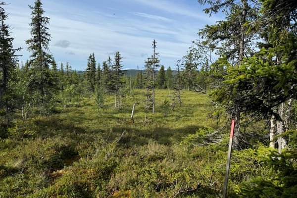 Uggen Björnvägen 4 & 6