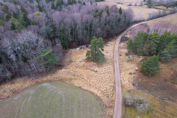 Rickebasta Nyvallen 370C