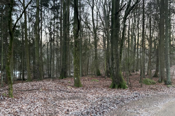 Broslätt Morkullavägen 7