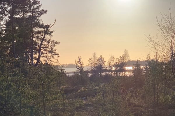 Övre Stegelsrud Roviken 4