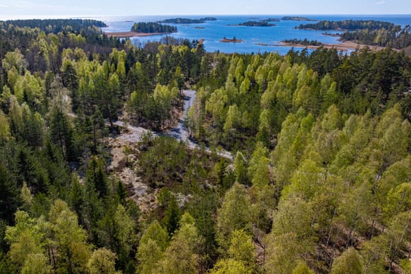 Övre Stegelsrud Roviken 5