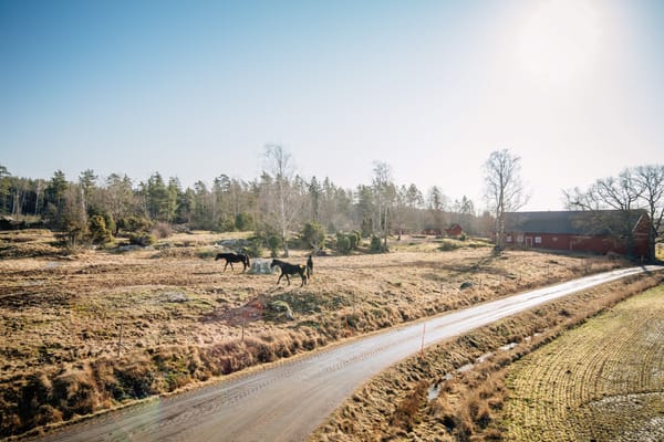Töreboda Äspäng 9:4