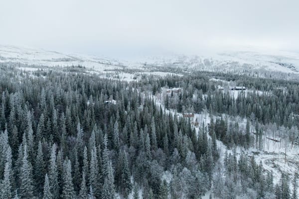 Mårdsundsbodarna Fjällslingan, Arvesund 2:114