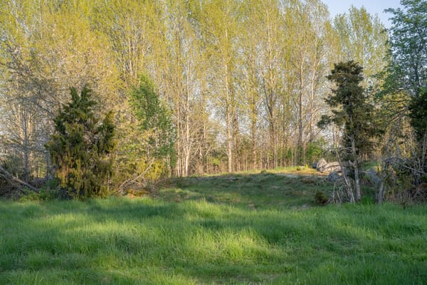 Undravägen 12