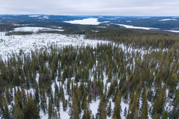 Mårdsundsbodarna Arvesund 2:274