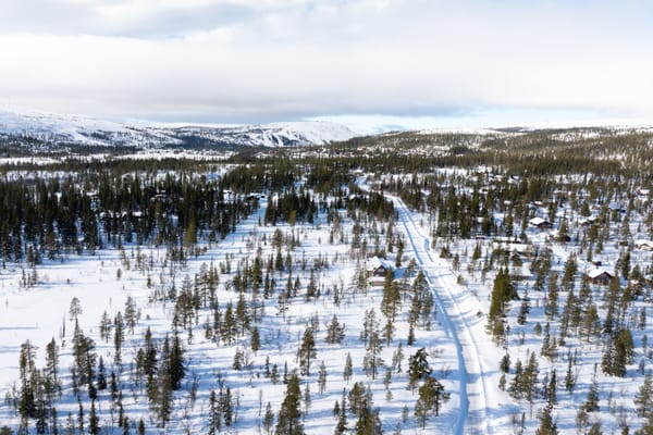 Ripfjället Skalfjällsvägen 1