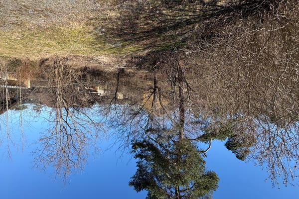 Timmermansvägen 14A