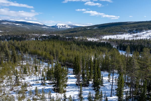 Vemdalens Kyrkby 6:25