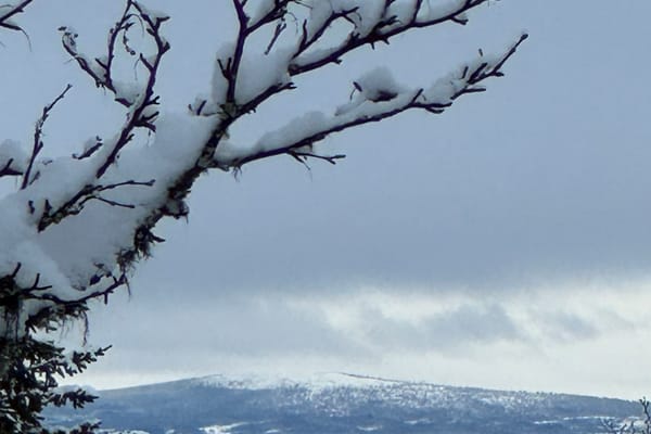 Arådalen Gamla renstigen 113