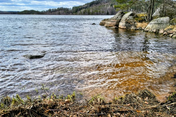 Landvinningen 1:1, tomt