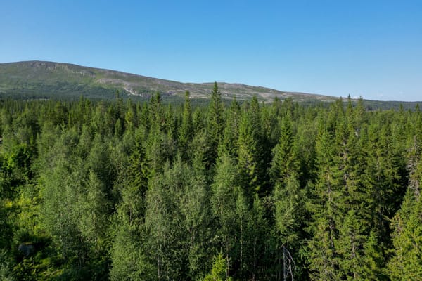 Mårdsundsbodarna Lingonvägen 21
