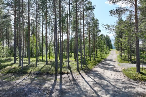 Tomt – Härjedalen