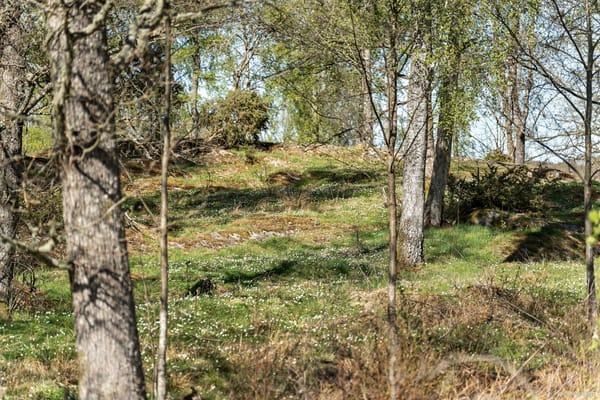 Tomt 1-5 med adress Dalbogården