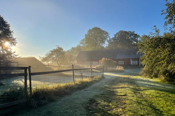 Villa – Braås, Växjö
