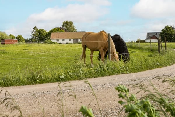 Villa – Hörby, Hörby