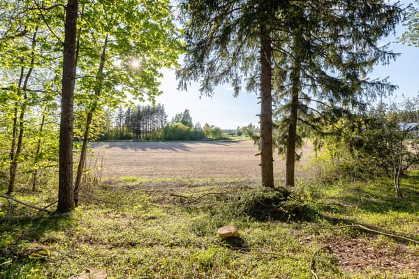 Skäggesta Rönneberga 17