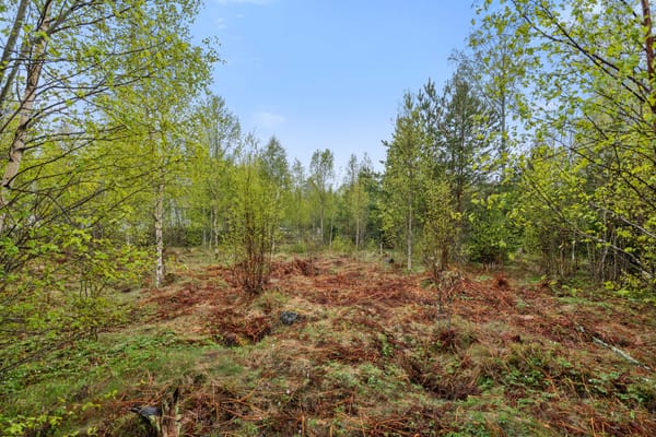 Roshöjden 14
