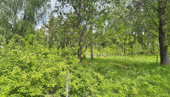 tomt-till-salu-i-hela-sverige-l-nsf-rs-kringar-fastighetsf-rmedling