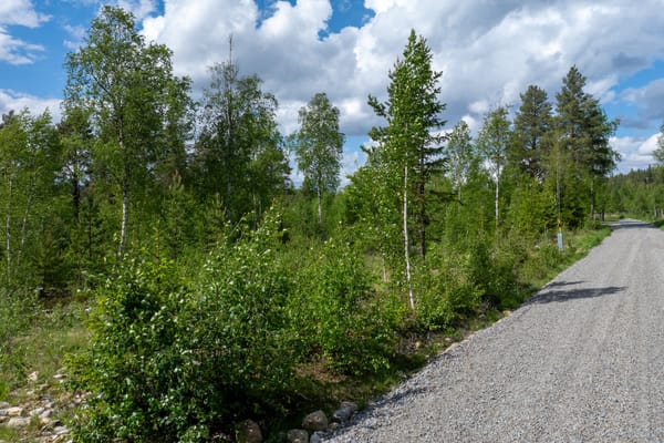 Kvarnbäcksstigen 4