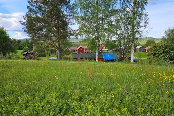 Vasaloppsvägen 823
