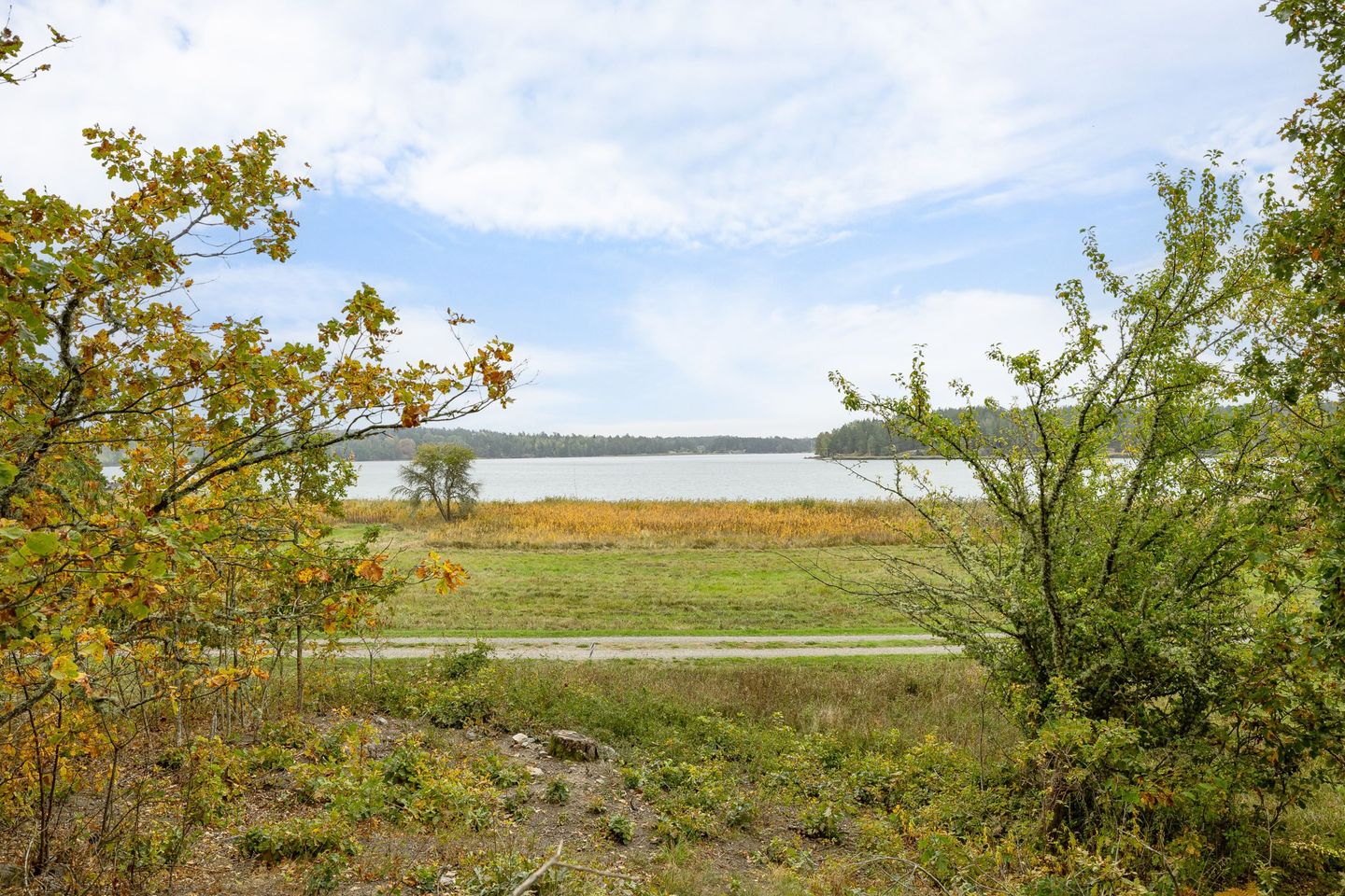 Grönviksvägen